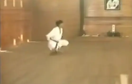 Taïso (échauffement) traditionnel Shotokaï (2)