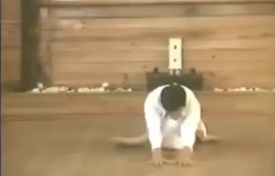 Taïso (échauffement) traditionnel Shotokaï (3)