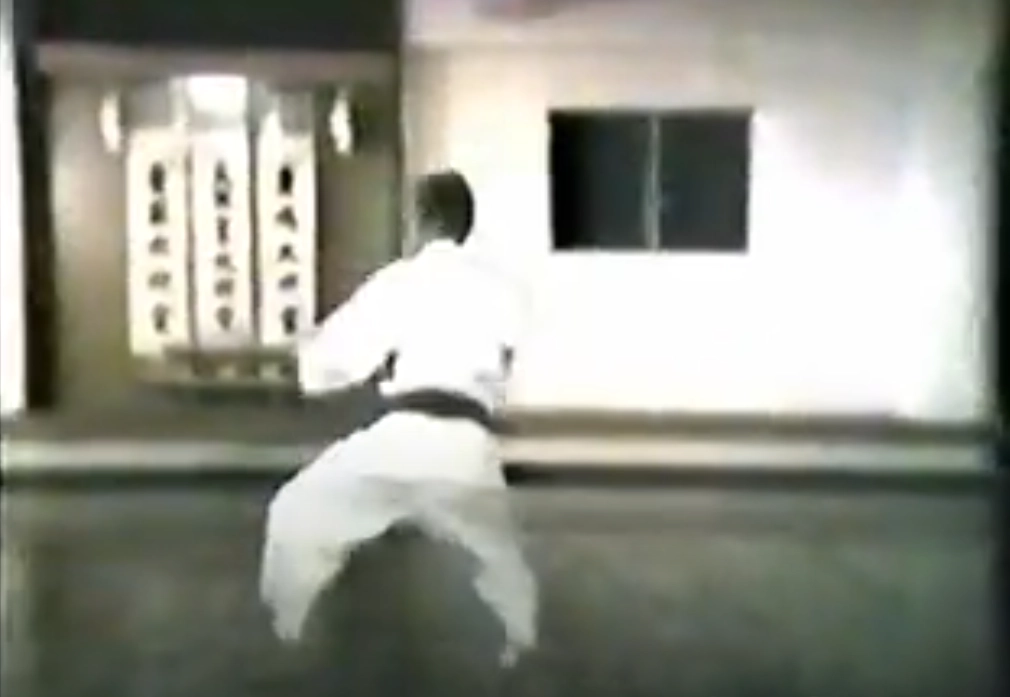 Heian Shodan Shotokai