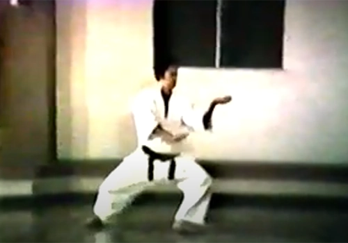 Jutte Kata Karate Do Shoto-kai