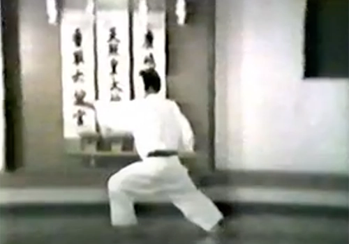 Taikyoku Shodan Shoto-kai