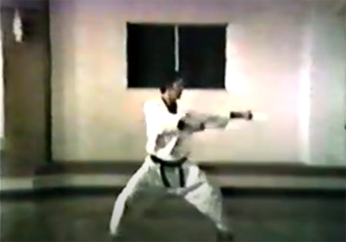 Tekki Shodan Shoto-kai